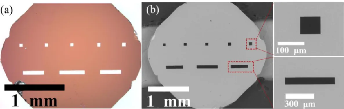 Figure 2.3 (a) Photograph of Si/SiN chip with optical microscopy. (b) SEM image of 