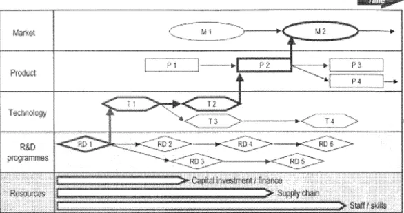 Fig. 3.2 gives a typical roadmap produced by T-Plan.