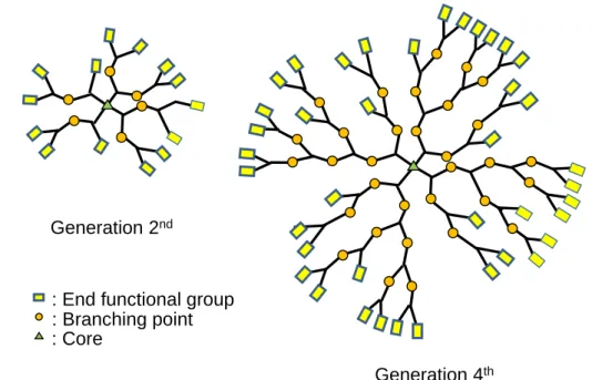 Figure  1.4.1.    Architectures  of  hyperbranched  polymer  (left)  Generation  2 nd   (right)  Generation 4 th 
