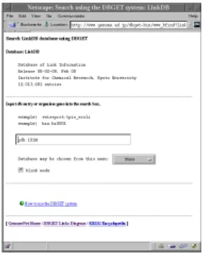 図 3.4: WWW 版 blink の入力画面