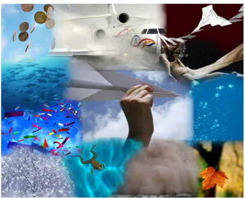 Figure 1.1: Examples of natural phenomena of the immersed bodies. Sources: Google image search.
