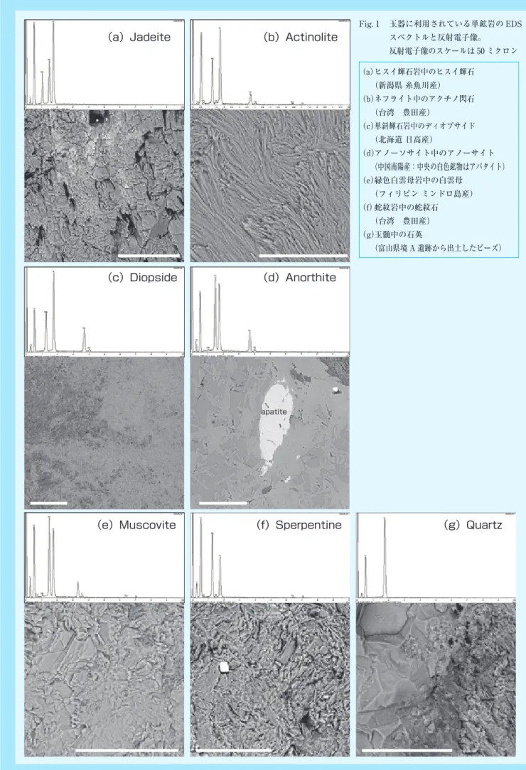 Fig. 1  玉器に利用されている単鉱岩の EDS スペクトルと反射電子像。