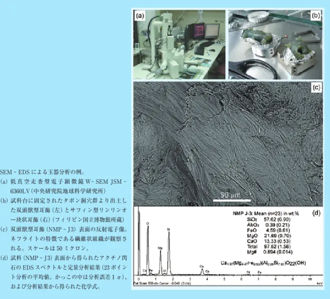 Fig. 3  SEM － EDS による玉器分析の例。