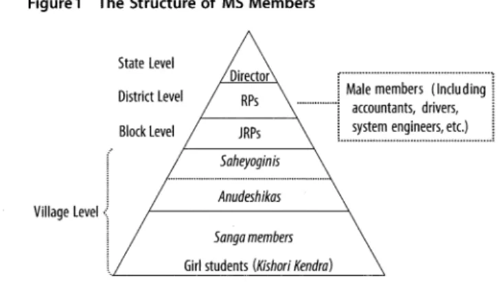 Figure 1  The Structure of MS Members