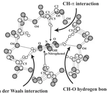 Figure 2.8: Host-guest interaction observed in ↵-cyclodextrin complex with p-nitrophenol, figure is taken from literature [7]
