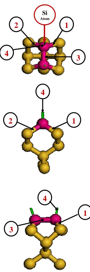 Figure 1.2  Model of Si(001) surface. Si bonds to the bulk denoted by 1 and 2. 