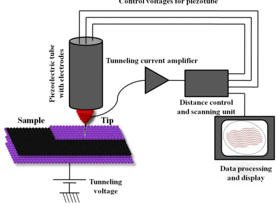 Figure 2.1 Schematic diagram of STM. 