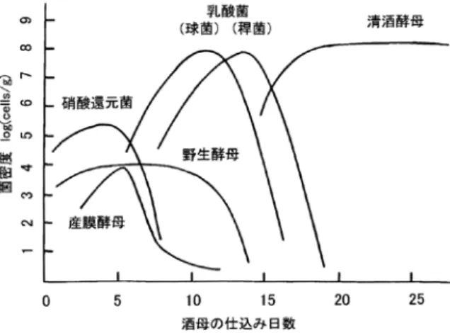 図 2 にみられるように、仕込みが行われると Pseudo- Pseudo-monas 属、Enterobacter 属、Micrococcus 属などの硝 酸還元菌が増殖して仕込み水などに含まれる硝酸 を還元して亜硝酸を生成する。次いで Leuconostoc  mesenteroides （球状乳酸菌）や Lactobacillus  sakei（桿 状乳酸菌）などが増殖して乳酸を生成し、酒母の pH を低下させると亜硝酸と低 pH の相乗効果で野 生酵母が死滅する。乳酸菌が増殖してさらに pH が 低