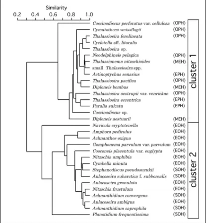 Fig. 4. Dendrogram of Q-mode cluster analysis on the diatoms from OB1 to OB30. Subzones (A1, B1, B2, B3) are clusters inferred from similarity.
