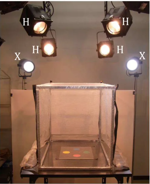 Figure 1. Experimental setup used for all behavioural tests in the room. 