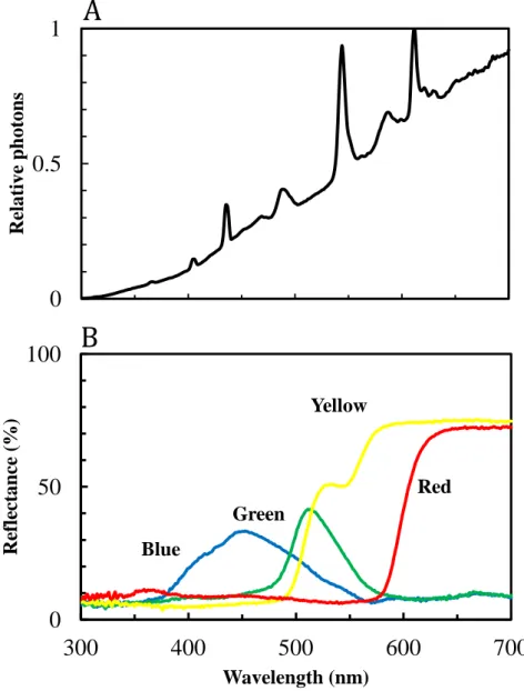 Figure  2.  A:  Irradiation spectrum of the illumination, B:  Reflectance 