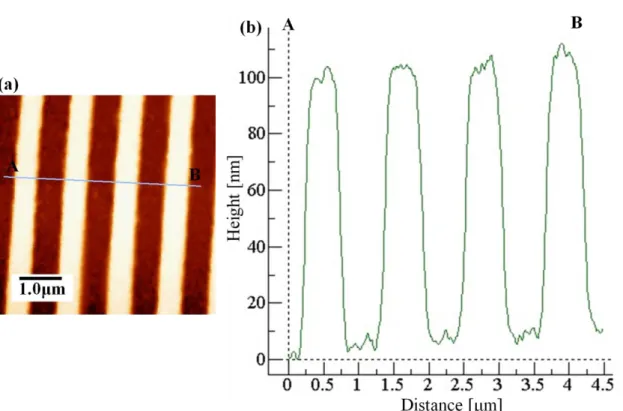 Figure  2.8  グレーティングの AFM 観察結果の一例.  (a)  AFM 像.  (b)  AB ライン上での断面プロファイル.  AFM 計測の応用として、摩擦力顕微鏡（FFM）がある。これは接触モード AFM 計測で試料表面に対して平行方向の力を検出する方式である。走査の方向を、 カンチレバーの軸方向と直交する方向にすると、カンチレバーがねじれる向き に探針 - 試料間に働く摩擦力のモーメントが加わる。 Fig