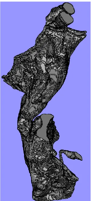 Figure 3.6: Reconstructed surface generated from the extracted subset of CT scans.  
