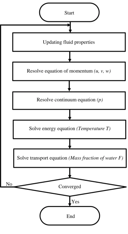 Figure 4.1 Flow chart of the segregated solver  