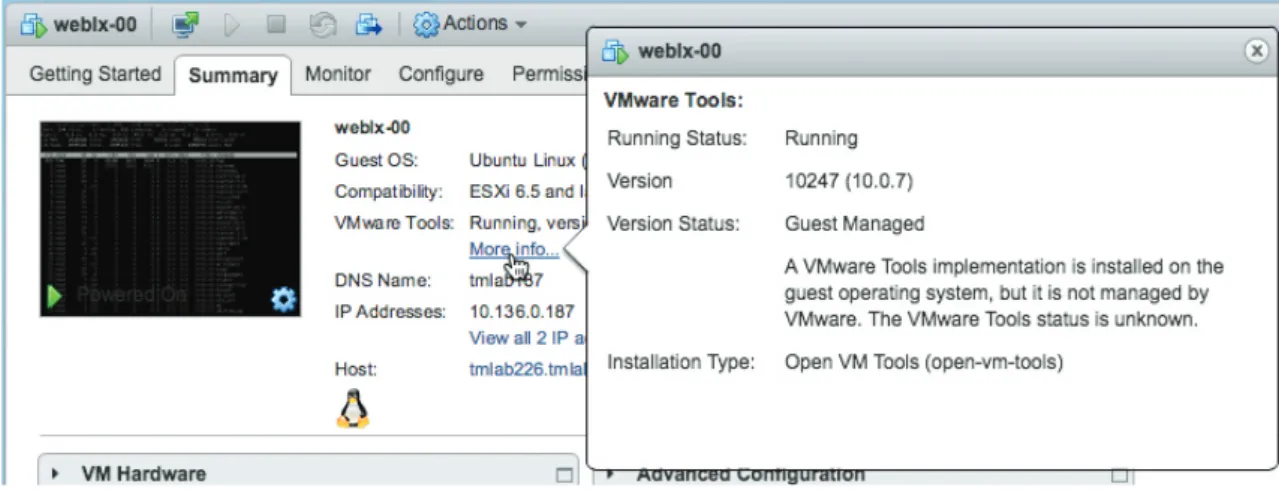 図 12： VMware Tools の詳細なバージョンとデータ タイプの表示