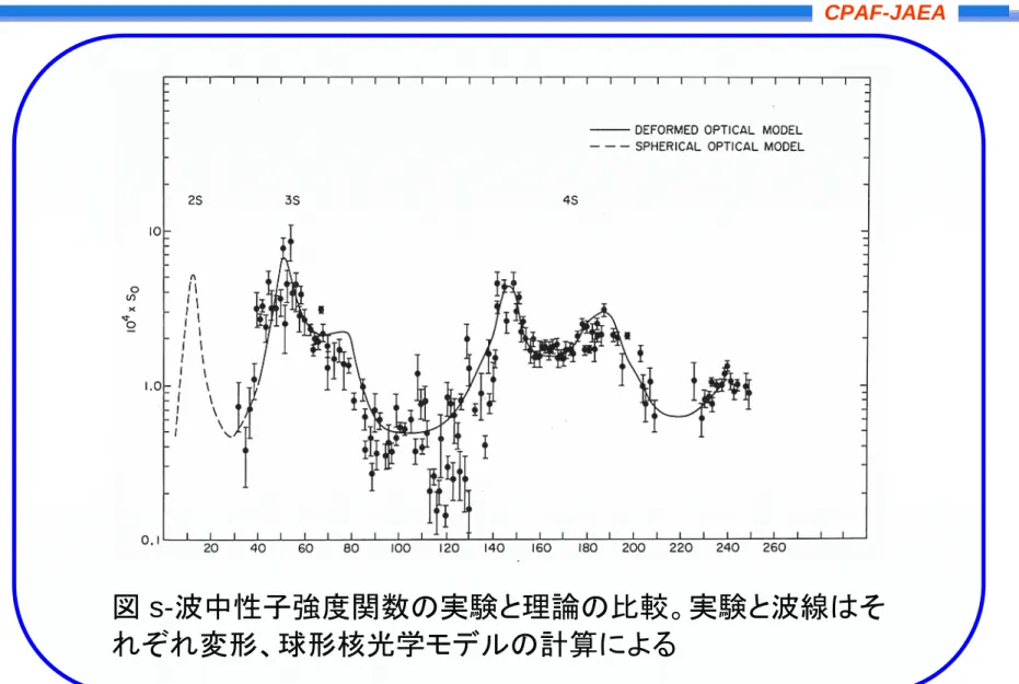図 s-波中性子強度関数の実験と理論の比較。実験と波線はそ