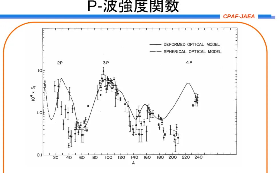 図 P-波中性子強度関数の実験と理論の比較。実験と波線はそれぞれ変 形、球形核光学モデルの計算による。A=160近傍にある小さなピークは BuckとPereyによって予想された4P巨大共鳴の 回転分離による。