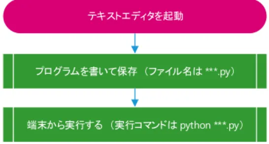 図 1 Python プログラムの実行方法 (1)