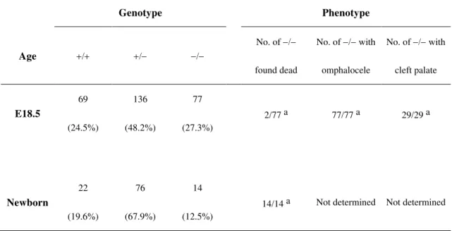 Table  1.  Genotypes  of  offspring  from  intercrosses  of  VGAT    mice  and  phenotypes  of  VGAT   mice  Genotype      Phenotype  Age         No