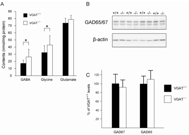 Figure  10.  Neurotransmitter  levels  and  the  expression  of  GAD65  and  GAD67. 
