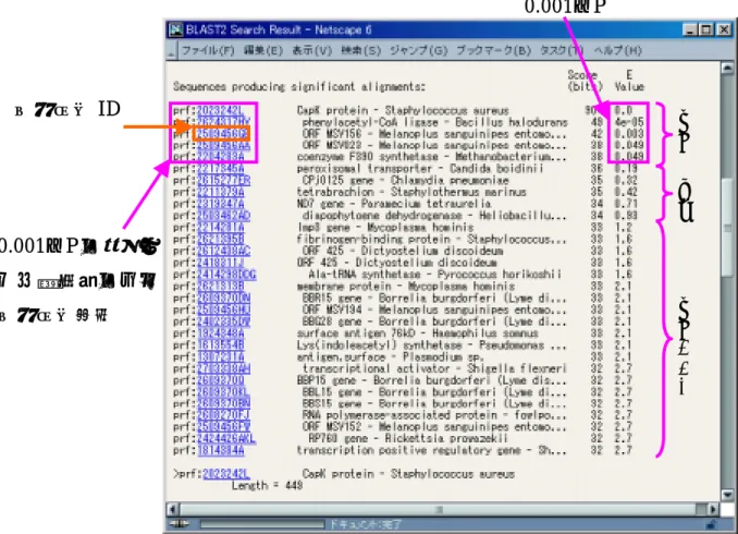 図 3.10  BLAST による検索結果 エントリID 0.001≧Pの値を示した有意性のあるエントリ集合 0.001 ≧ P  有意 微妙   有意でない 