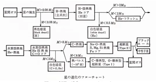 図 1.5: 恒星の進化のフローチャート