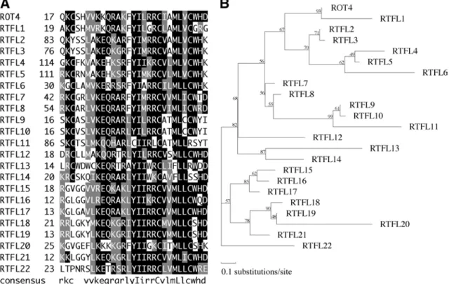 Figure 6 ROT4 gene family.