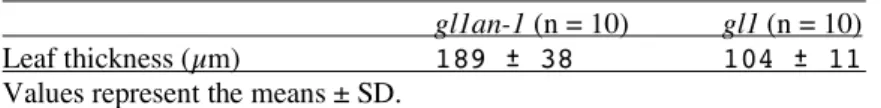 Table 3 Comparison of the leaf thickness in gl1an-1 and gl1 by using LTMI.