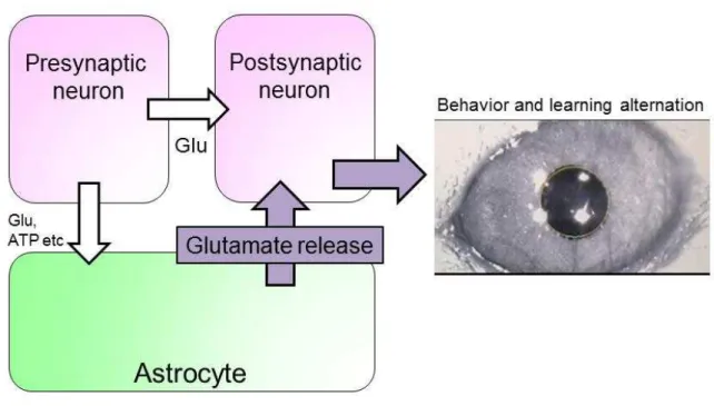 Figure 7. Short summary for chapter 1 