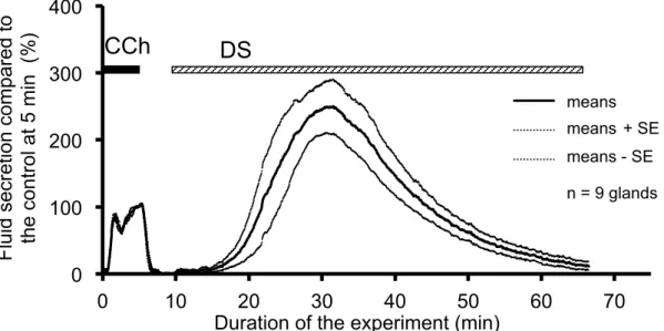 Figure 1-1. Time course of the DS-induced salivary fluid secretion. After control  stimulation with 0.2 µmol/L CCh for 5 min, the DS (5 g/L) was introduced at 10 min  and perfused for 60 min