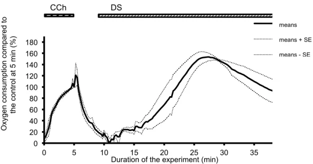 Figure 2-1. Time course of the A-V difference of PO 2  during the DS perfusion. CCh  stimulation was conducted for 5 min