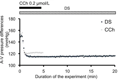 Figure 5-1. A-V pressure differences during DS (black) or CCh (gray) perfusion.   