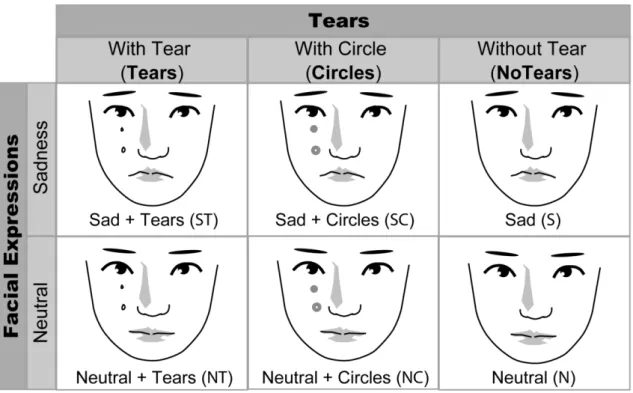 Figure 1. Experimental design 