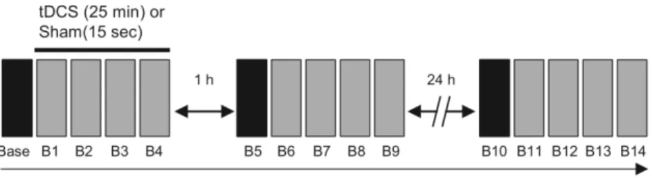 Figure 1. Experimental design. 