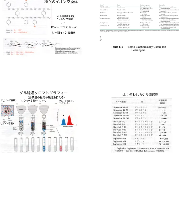 Table 6-2  Some Biochemically Useful Ion  Exchangers. Page 136! ゲル濾過クロマトグラフィー  V X (ビーズ容積）� V O (ボイド容量）� V T, （ベッド容量）＝ V O  +V X! ブルーデキストラン＝!VOのマーカー!�（分子量の推定や脱塩も行える）� よく使われるゲル濾過剤 