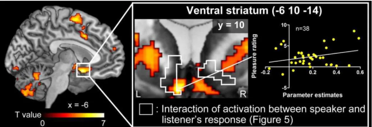 Figure 8. Physio-physiological interaction (PPI) in the ventral striatum (VS)  Left,  PPI activation with the medial prefrontal cortex (mPFC) and right auditory cortex  as seed regions is shown
