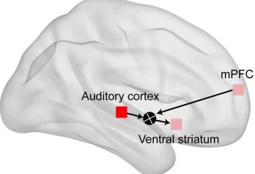 Figure 9. Proposed model of the brain network underlying the social action- action-outcome contingency   