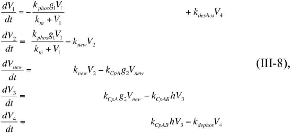 Fig. III-5a shows the successfully realized pattern of the KaiC phosphorylation  cycle
