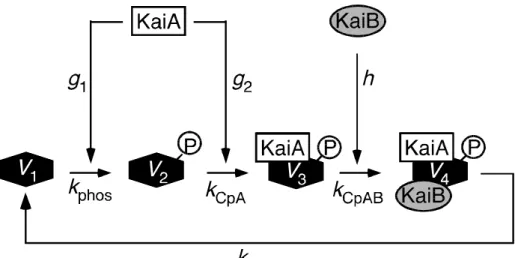 Fig. III-1