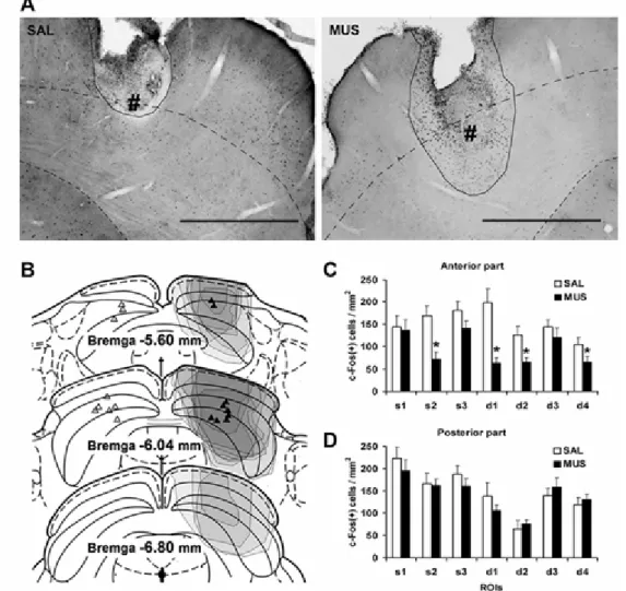 Fig. II-2 
