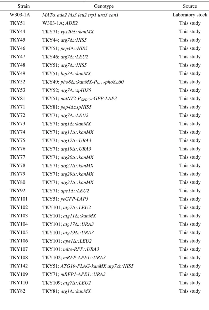 Table I.    Yeast strains used in this study 