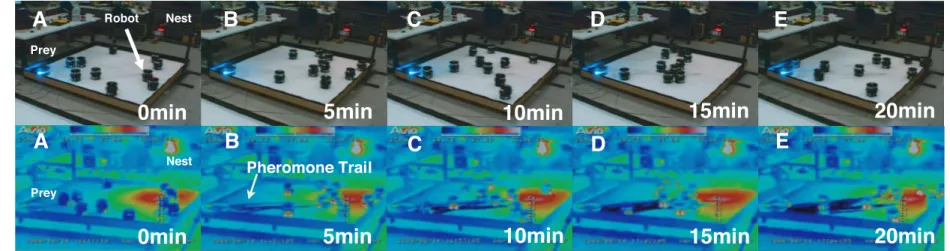 図 9 ロボット数 10 体のときの実験環境の温度分布 Fig. 9 Snapshots of experimental results for 10 robots.