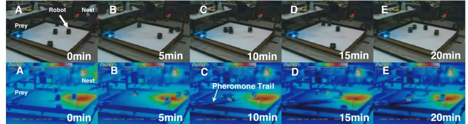 図 8 ロボット数 4 体のときの実験環境の温度分布 Fig. 8 Snapshots of experimental results for 4 robots.