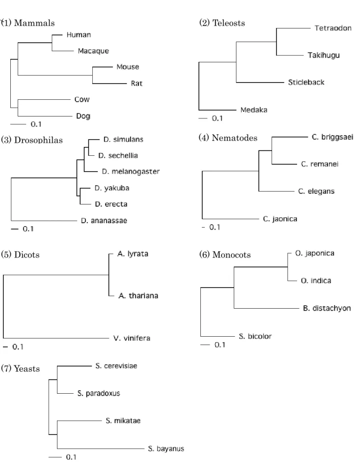 Figure 3-1. Phylogenic trees of the species used in this study 