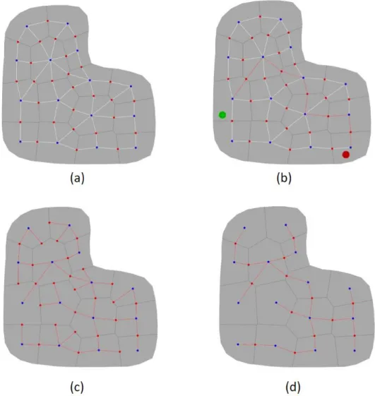 図  18：全域木生成手法：(a)図 16 の手順で生成したグラフ，(b)解経路の生成 (緑がスタートで赤がゴール)，(c)プリム法による全域木の生成，(d)辺削除 