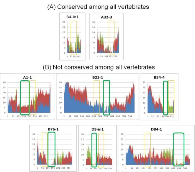 Figure 2.4: The phylogenetic footprinting analysis within chordates    