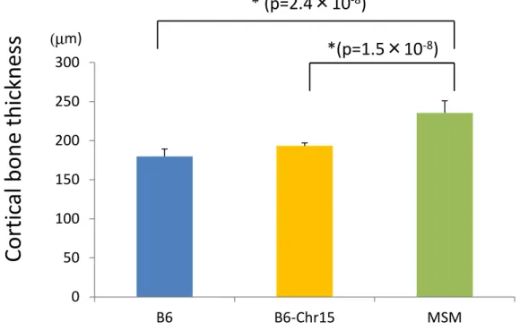 Figure 15 050100150200250300 B6 B6-Chr15 MSM(µm)Cortical bone thickness* (p=2.4×10-8)*(p=1.5×10-8)