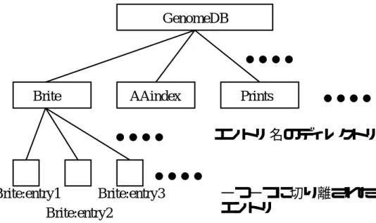 図 6.4: AAindex におけるフィールドごとに分割したエントリ群を収める、各フィールド