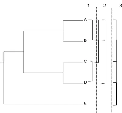Figure 2.2- Example schematic diagram for identification of CNSs for all pairs of species
