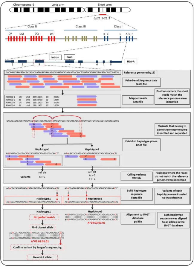 Figure 2.2: Overview of the analytical pipeline used in this study 